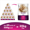 Maxi Adult Ocean Fish Dry Cat Food.