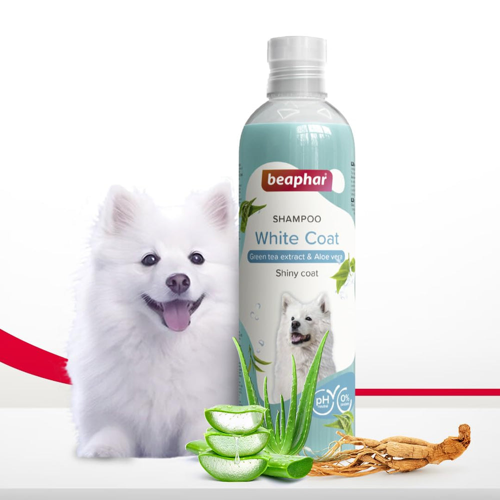 Beaphar White Coat Dog Shampoo – 250ml.