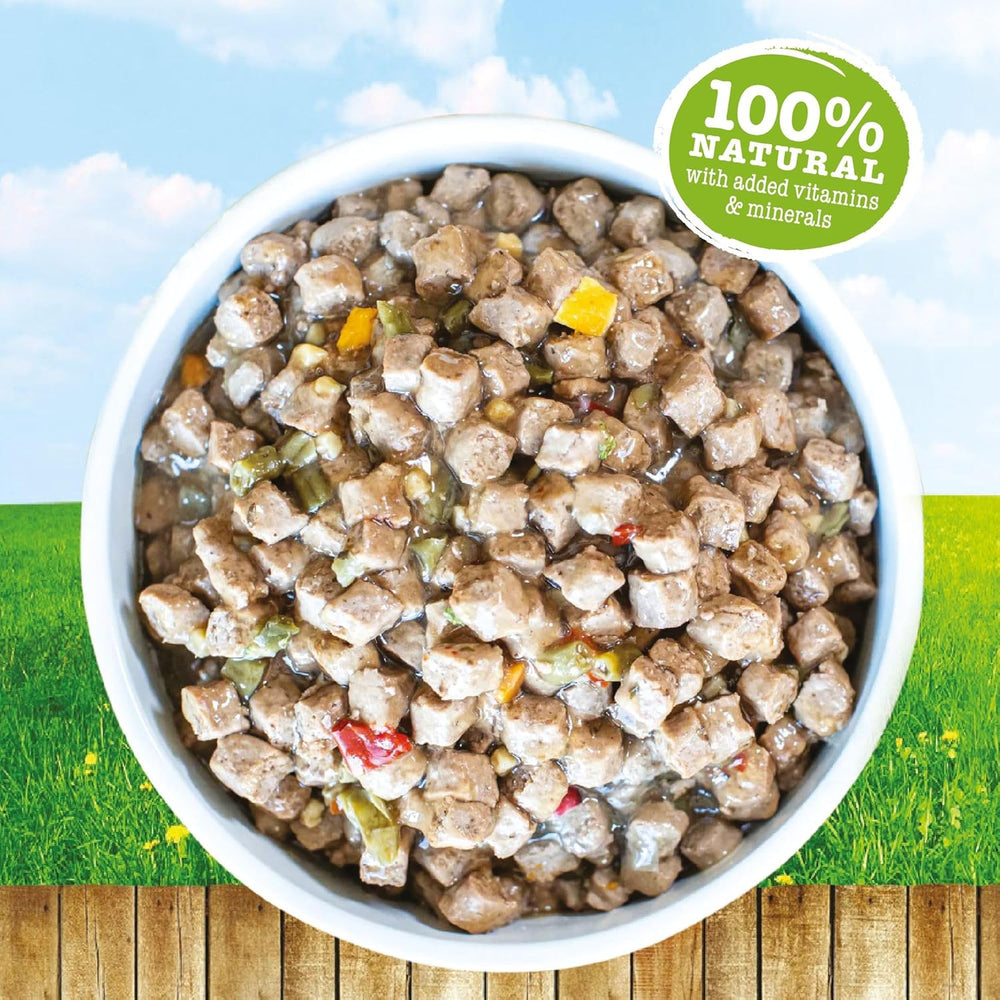 Bowl of wet dog food with chicken and vegetables