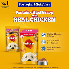 Pedigree Puppy Chicken & Liver Chunks in Gravy Wet Dog Food.