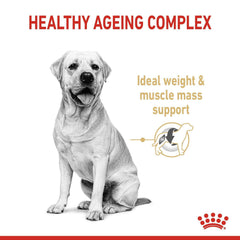 Royal Canin Labrador Retriever 5+ Adult Dog Food.