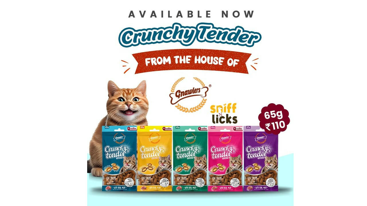 Gnawlers Crunchy & Tender Cat Treats 65g - Tasty Chicken & Milk Flavour.