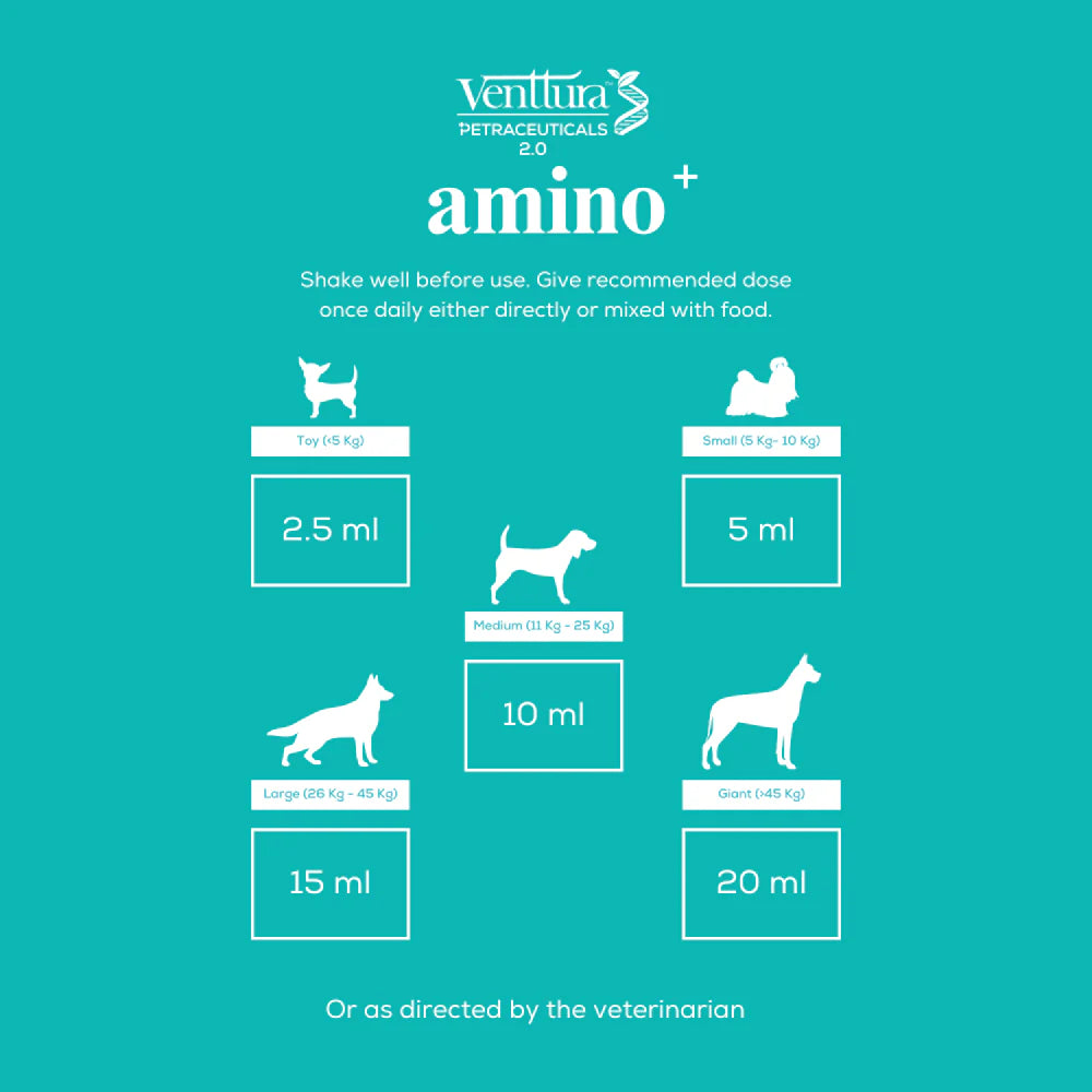 Venttura Amino Plus Syrup for Dogs – 200 ml.