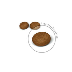 Royal Canin Hair and Skin Care Adult Dry Cat Food.