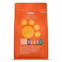 High-Protein Cat Food
