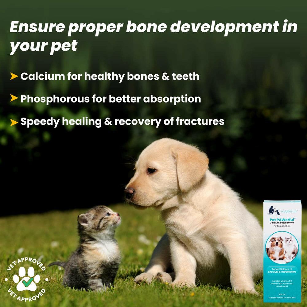 Wiggles PAWerful Calcium Phosphorus Syrup for Dogs and Cats – 200ml.