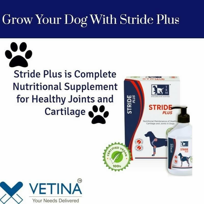 Vetina Stride Plus For Dogs