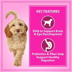 Lets Bite Active Adult Dog Food – 20kg (1kg Extra Free).
