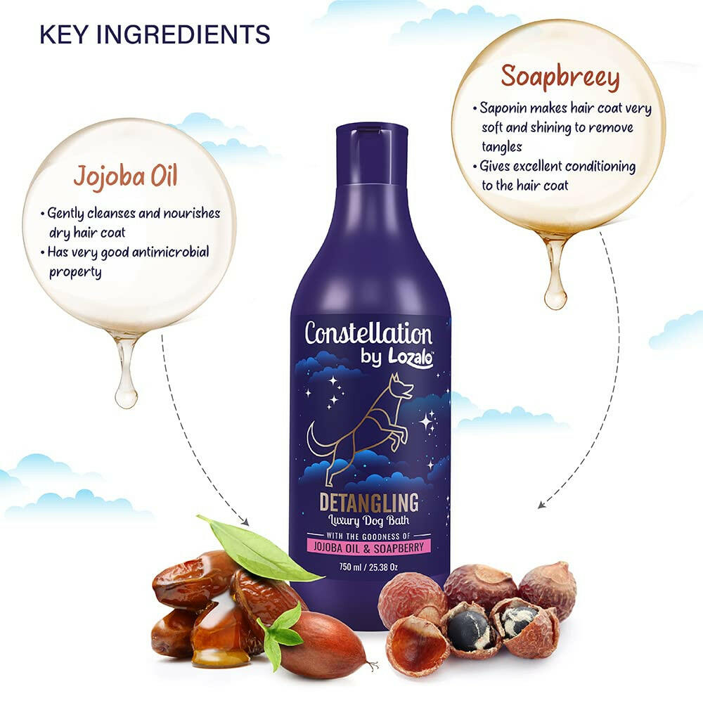 Lozalo Constellation Detangling Shampoo for Dogs – 375ml.
