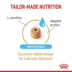 Royal Canin Labrador Retriever 5+ Adult Dog Food.