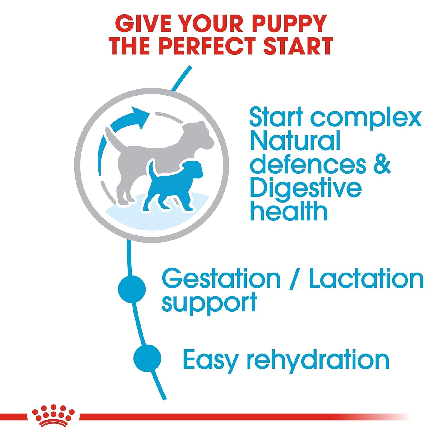 Royal Canin Mini Starter Dog Food.