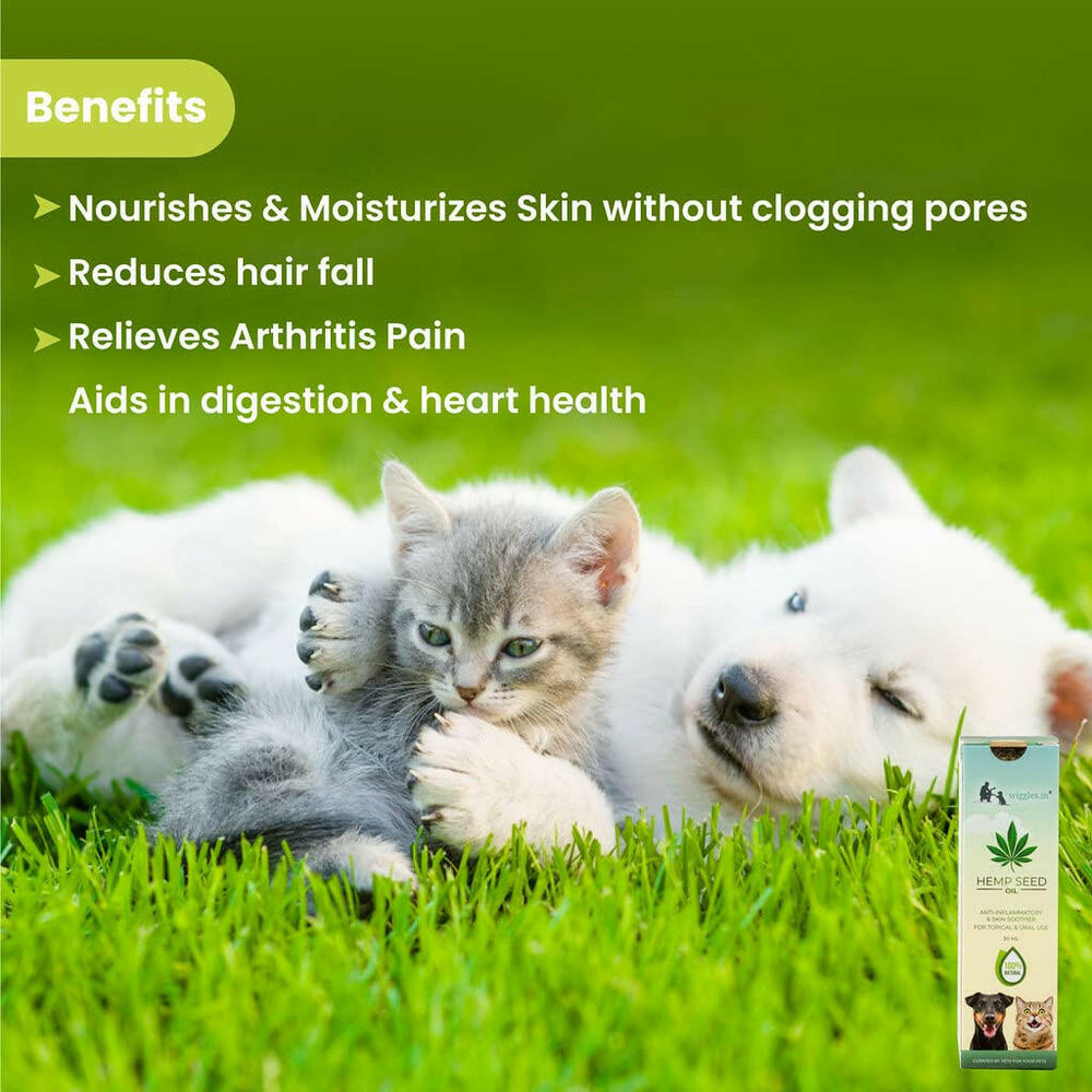 Wiggles Hemp Seed Oil for Dogs & Cats 30ML – Natural Pet Supplement.