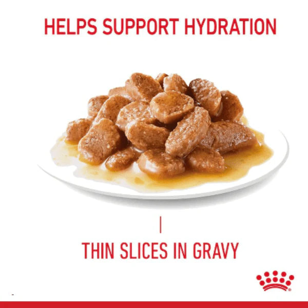Royal Canin Hair & Skin Wet Cat Food.