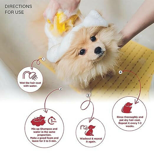 Lozalo Floral Pet Shampoo Rose Bouquet Fragrance - Cats & Dogs, 500ml.
