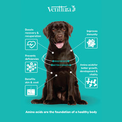 Venttura Amino Plus Syrup for Dogs – 200 ml.