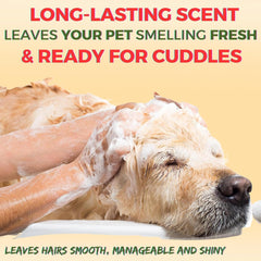Oh My Dog Odour Control Ultimate Dog Shampoo – 1 LTR.