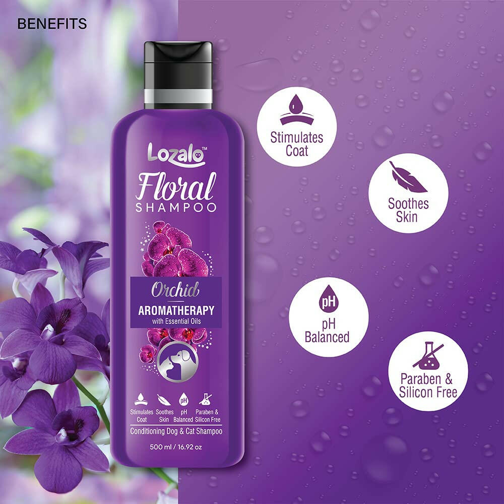 Lozalo Floral Pet Shampoo Effective Cleansing for Smelly Dogs and Cats (Orchid Fragrance).