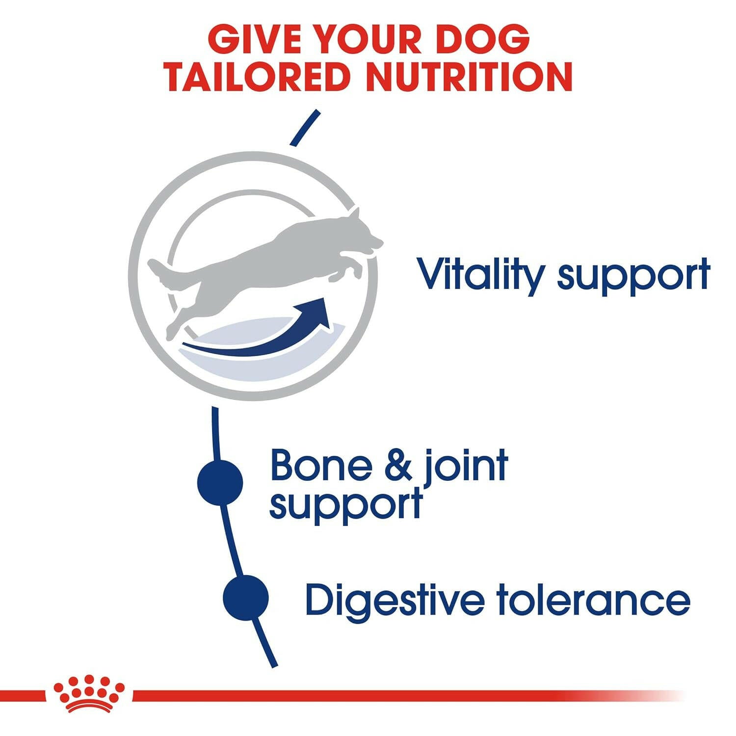 Royal Canin Maxi Adult 5+ Dog Food - 4 kg.