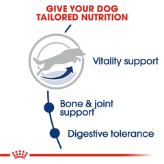 Royal Canin Maxi Adult 5+ Dog Food - 4 kg.