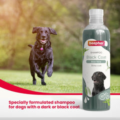 Beaphar Black Coat Dog Shampoo, 250 ml.