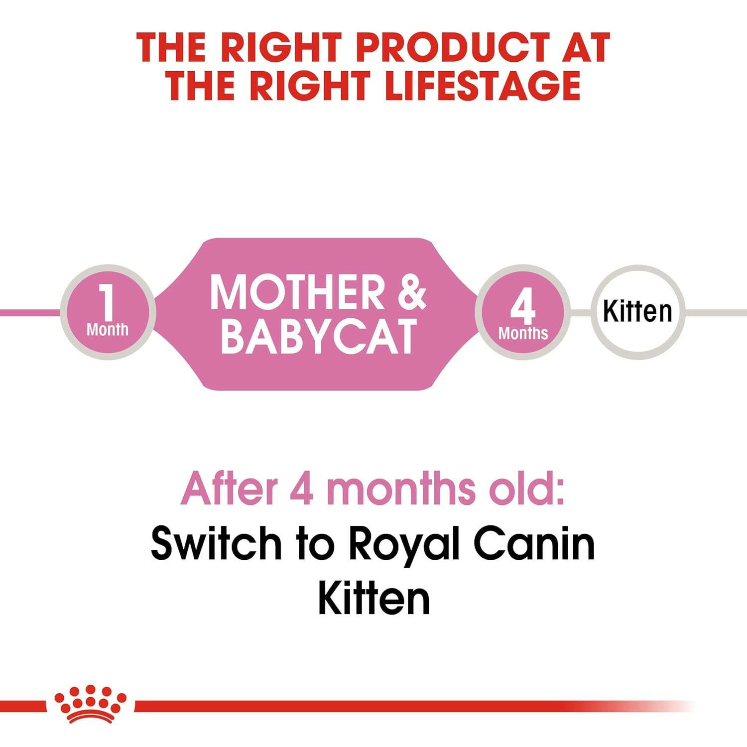 Royal Canin Mother & Baby Cat Food.