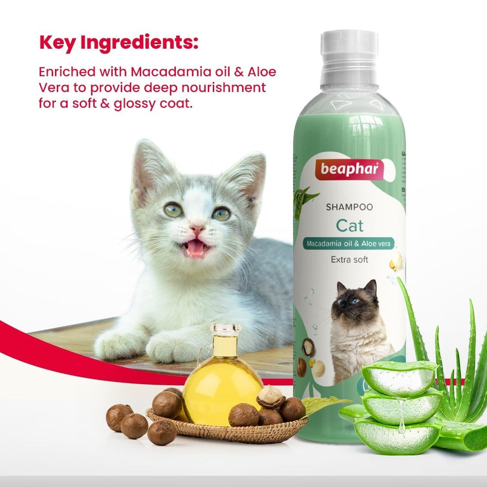 Beaphar Cat Shampoo with Macadamia Oil.