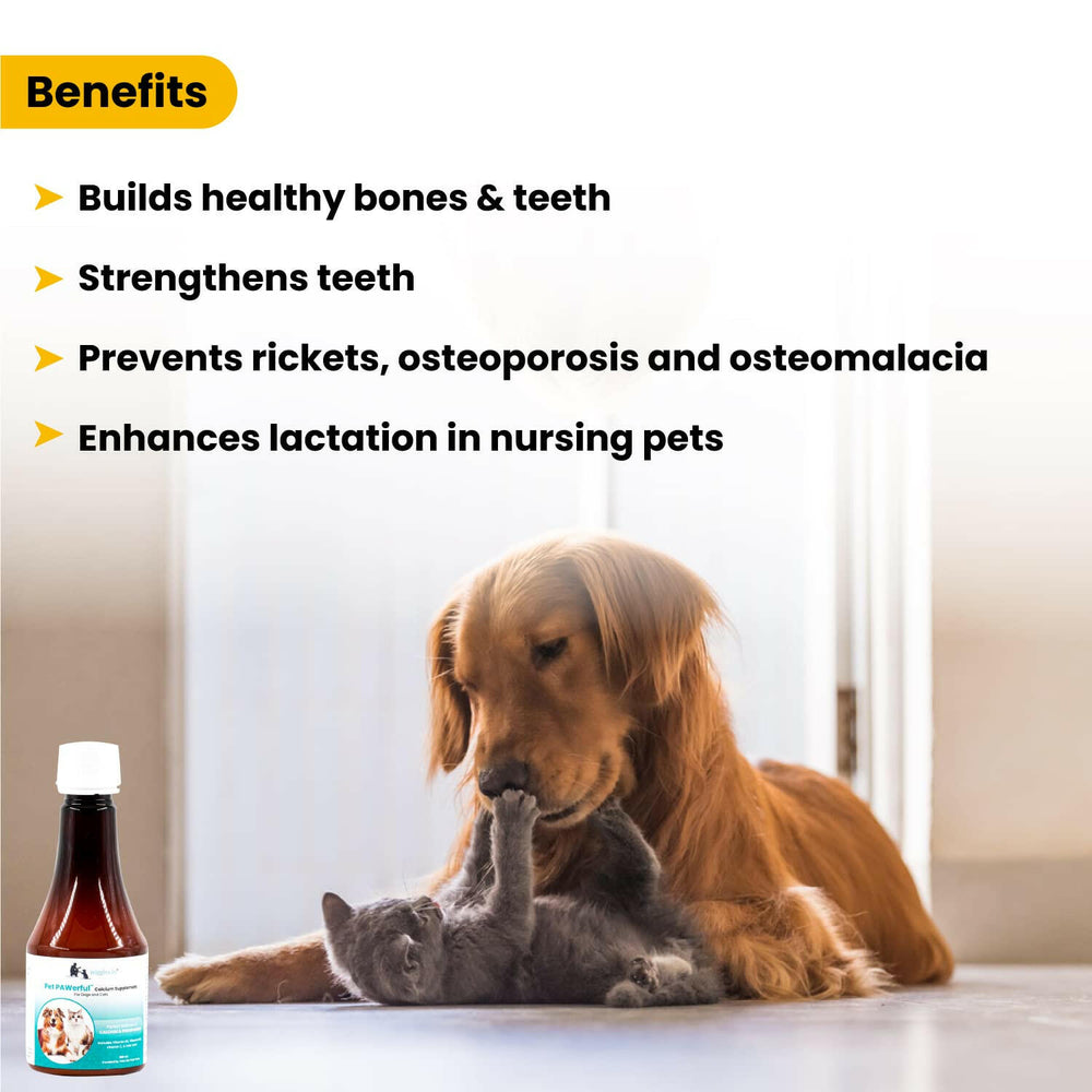 Wiggles PAWerful Calcium Phosphorus Syrup for Dogs and Cats – 200ml.