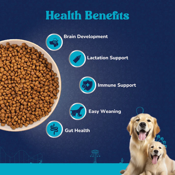 Carniwel with Fresh Chicken, Dry Dog Food for Large Dog, Starter.