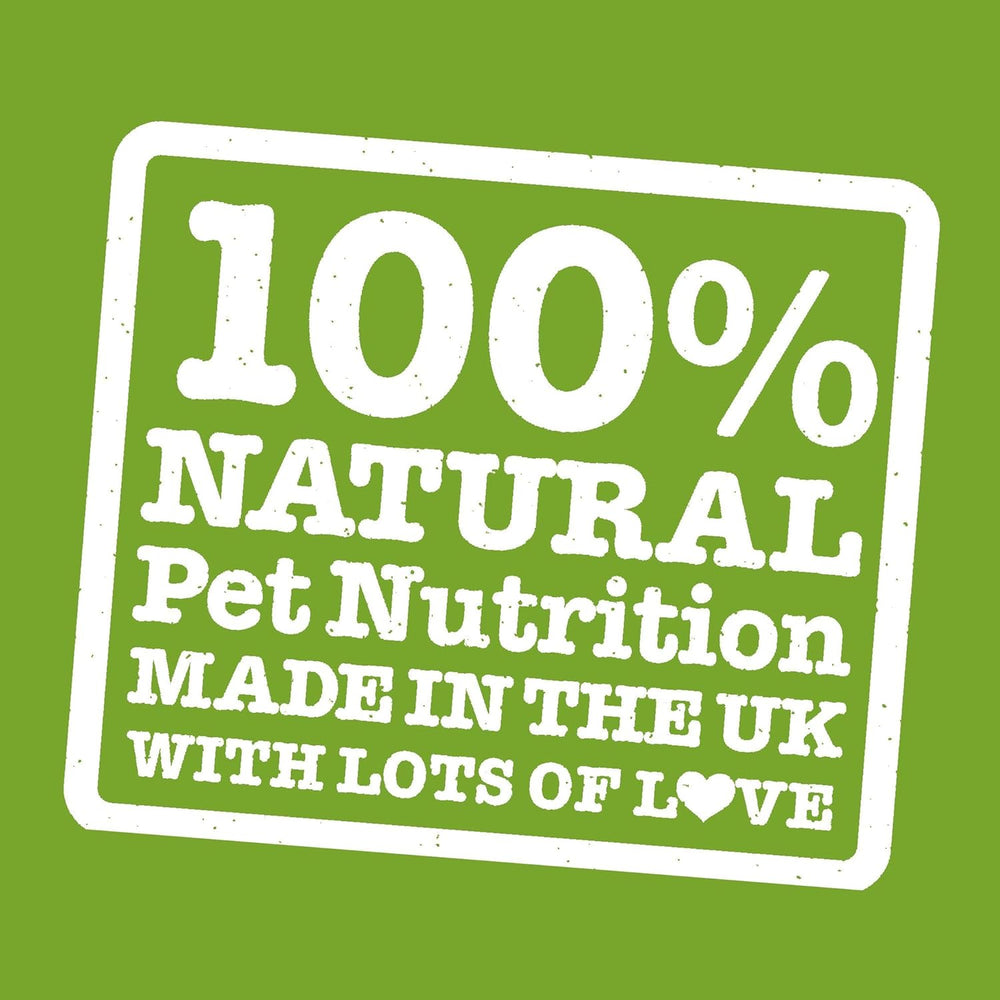 Close-up of chicken wet dog food texture
