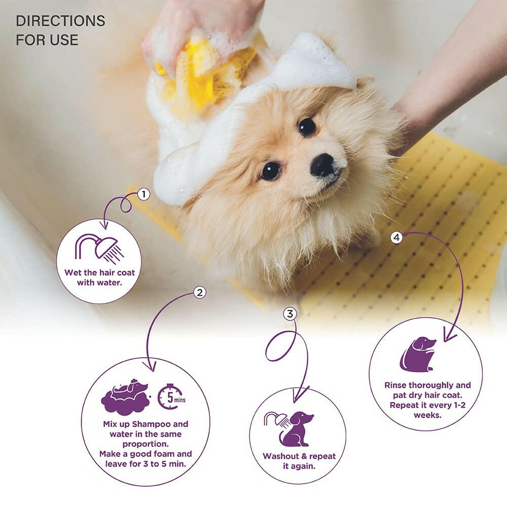 Lozalo Floral Pet Shampoo Effective Cleansing for Smelly Dogs and Cats (Orchid Fragrance).