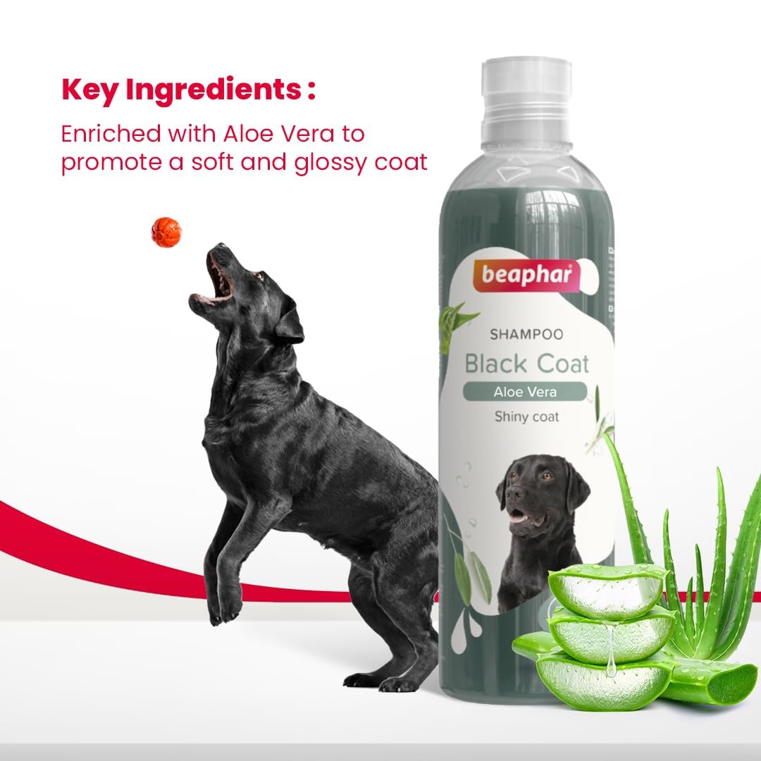 Beaphar Black Coat Dog Shampoo, 250 ml.