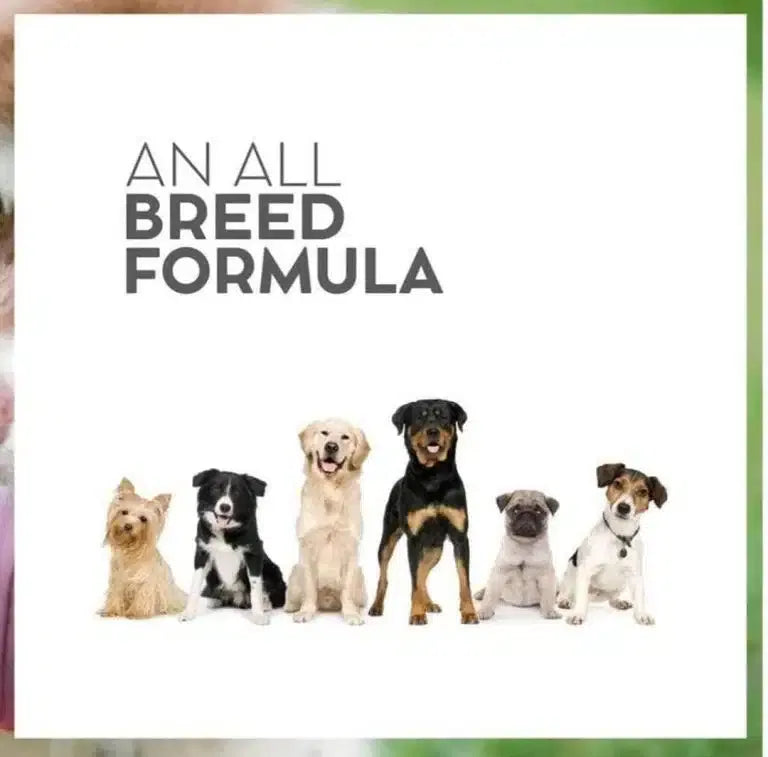 Drools Vet Pro Gastrointestinal Dry Dog Food.