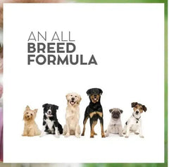 Drools Vet Pro Gastrointestinal Dry Dog Food.