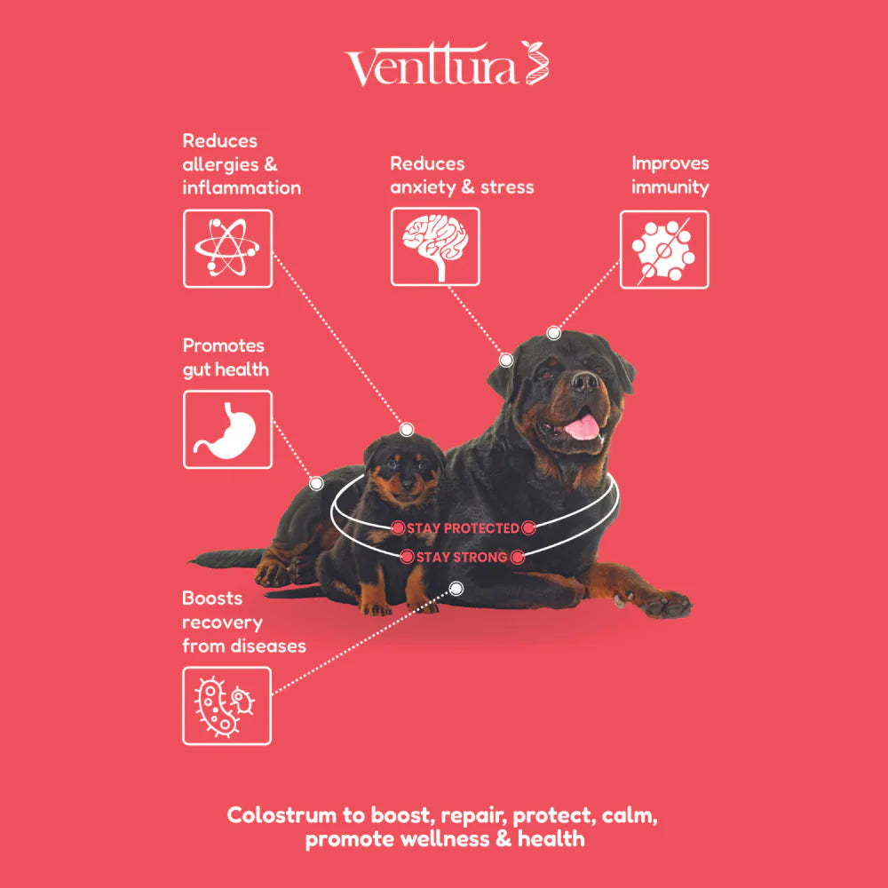 Venttura Immuno Plus Immunity Booster Spray for Dogs – 100ml.