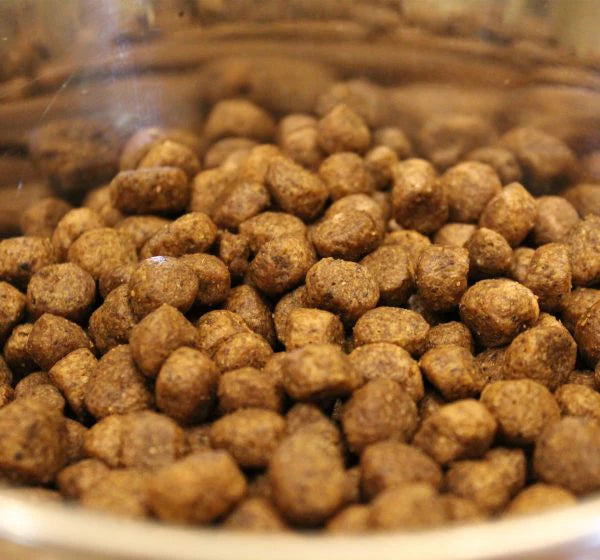 Acana Wild Coast Fish Dog Food – High-Protein, Grain-Free.