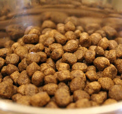 Acana Wild Coast Fish Dog Food – High-Protein, Grain-Free.