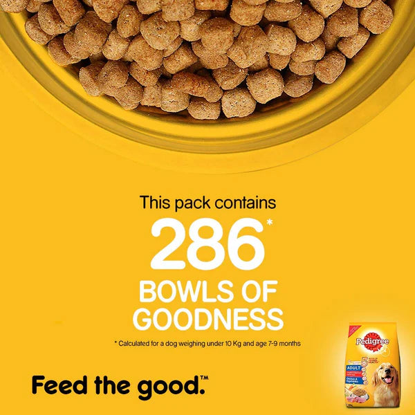 Pedigree Adult Chicken & Vegetables Dry Dog Food.