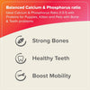 Beaphar Bone Builder: Calcium for Strong Pets