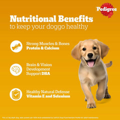 Pedigree Puppy Chicken & Liver Chunks in Gravy Wet Dog Food.