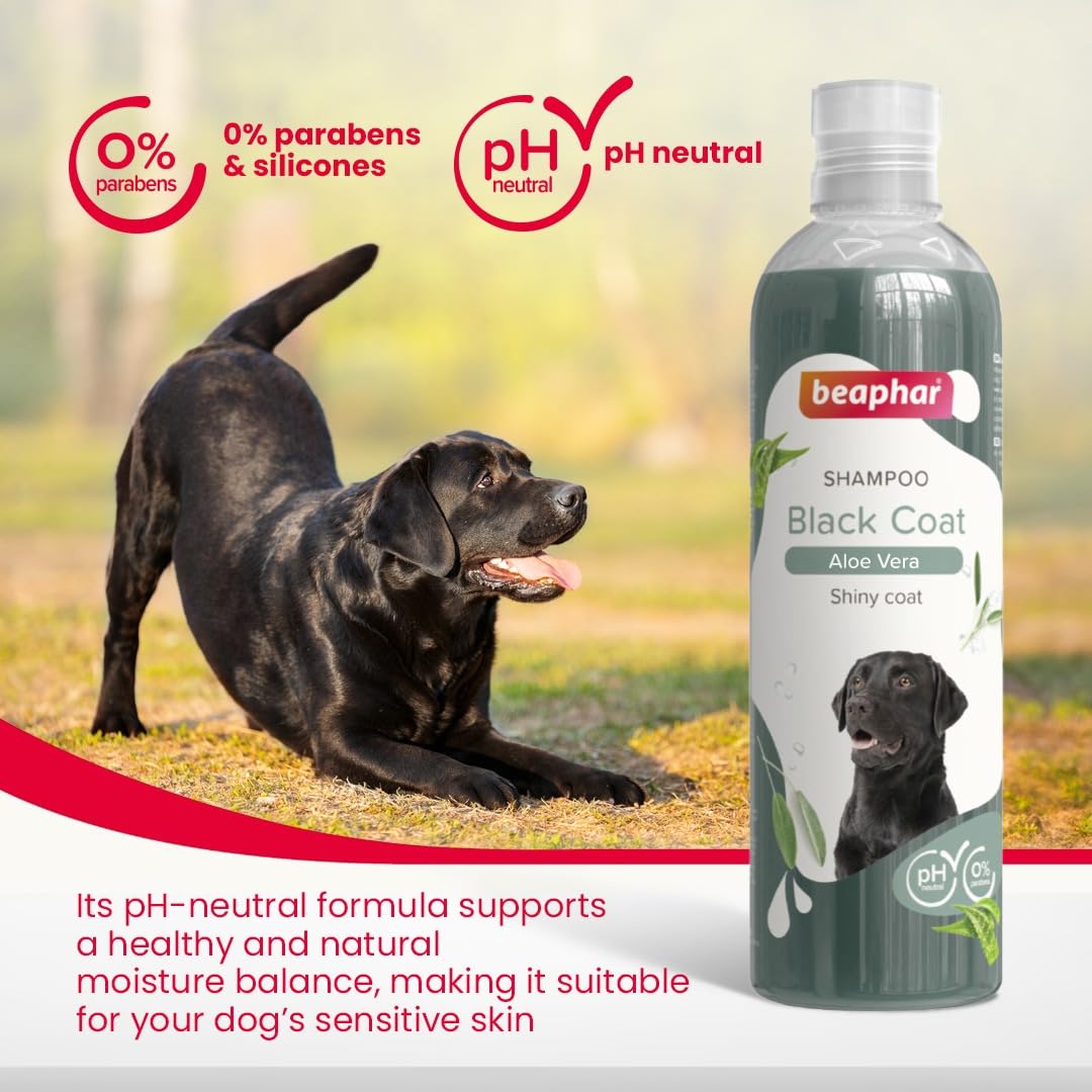 Beaphar Black Coat Dog Shampoo, 250 ml.