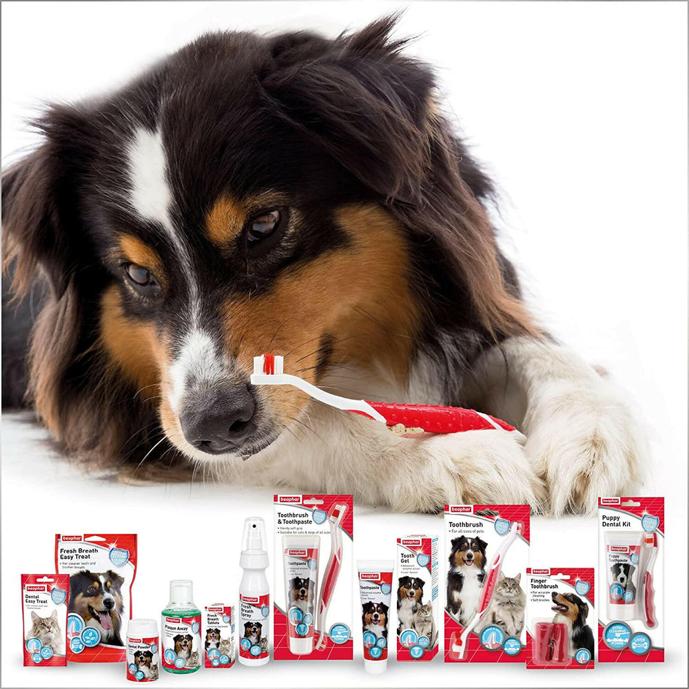 Beaphar Toothpaste for Dogs and Cats, 100g.
