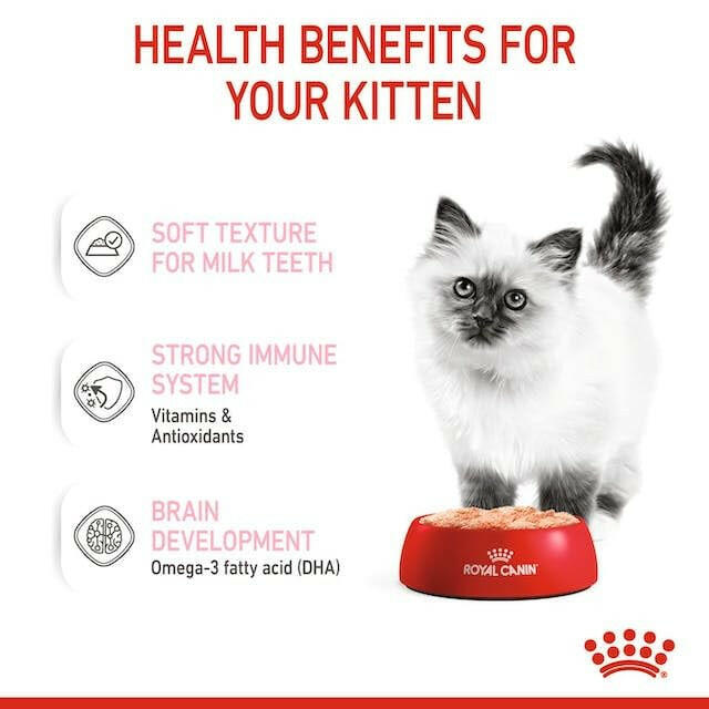 Royal Canin Kitten Instinctive Wet Food.