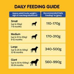Pedigree Adult Chicken & Vegetables Dry Dog Food.