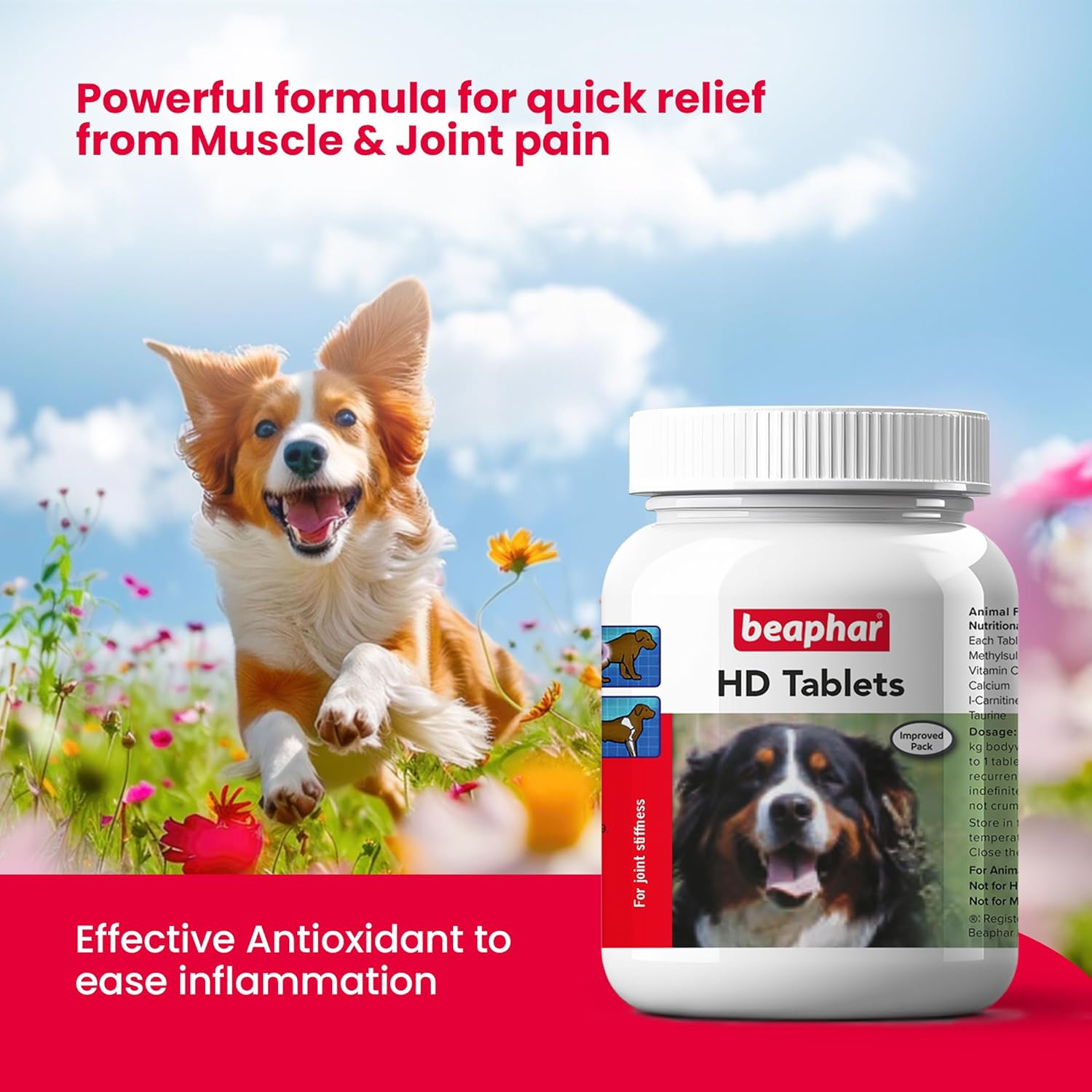 Beaphar HD Dog Joint Supplement - 100 Count.