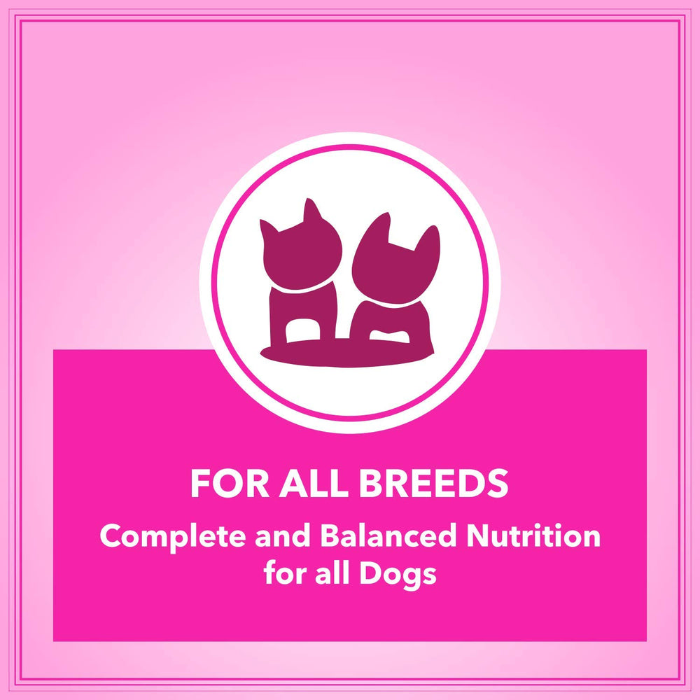 Lets Bite Active Adult Dog Food – 20kg (1kg Extra Free).