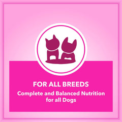 Lets Bite Active Adult Dog Food – 20kg (1kg Extra Free).
