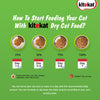 Kitekat Ocean Fish Adult Cat Dry Food.