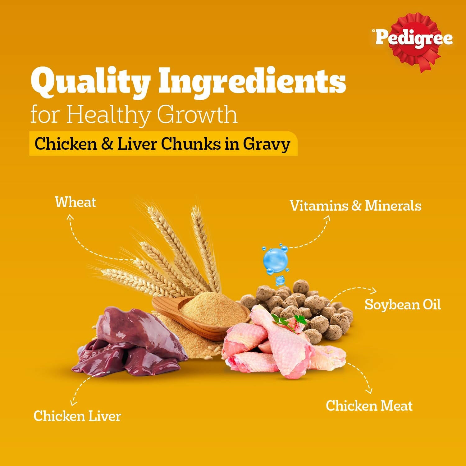 Pedigree Adult Wet Dog Food Chicken & Liver Chunks in Gravy.