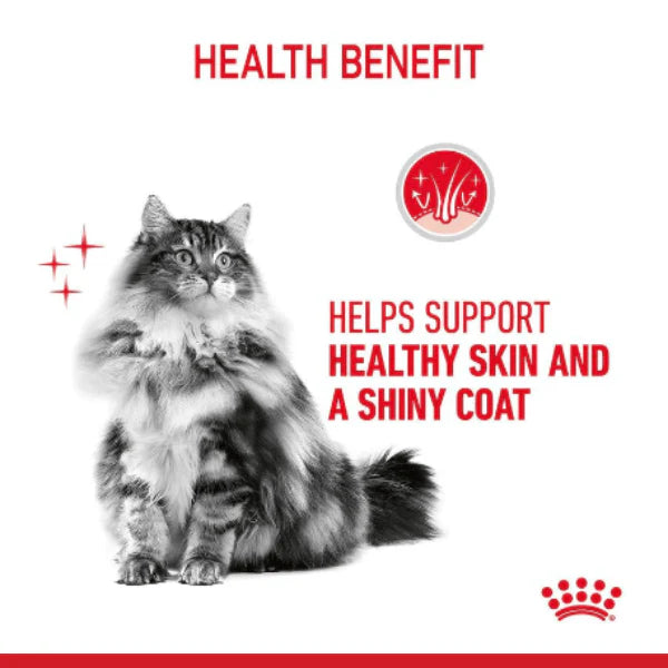 Royal Canin Hair & Skin Wet Cat Food.
