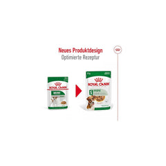 Royal Canin Mini Adult Wet Dog Food.